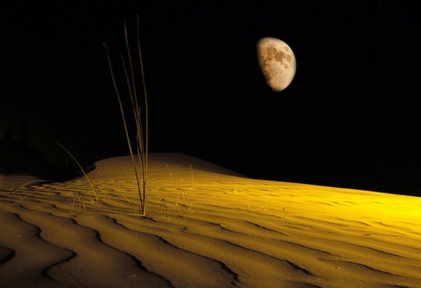 Луна в пустыне