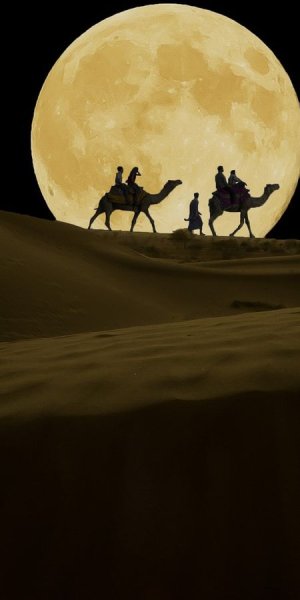 Верблюды и Луна в пустыне