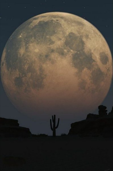 Луна в пустыне