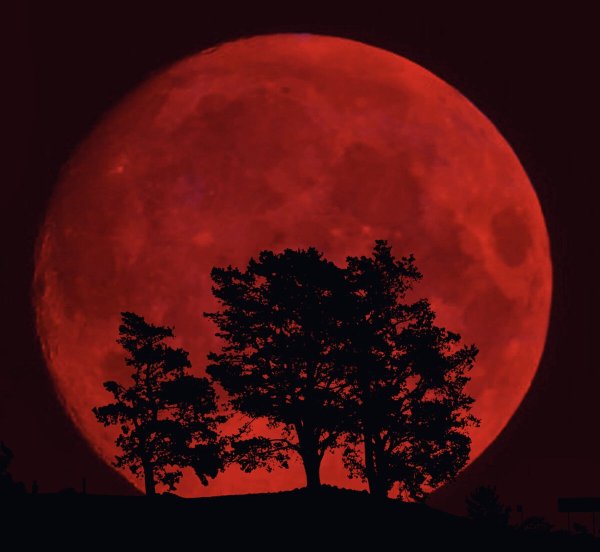 Красное полнолуние