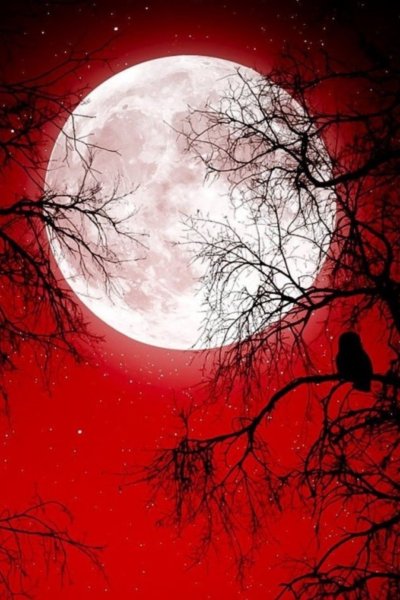 Зомби кровавой Луны