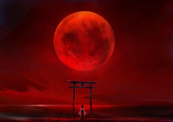 Фотографии этой красной Луны