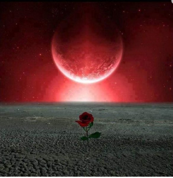 Кровавая Луна явление