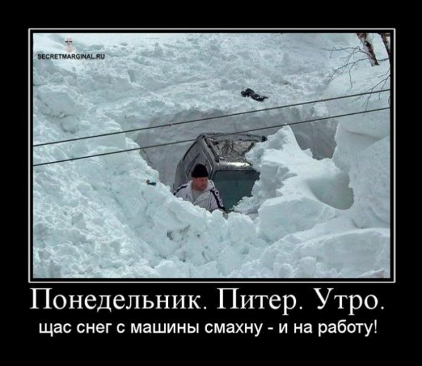 Снегопад смешно