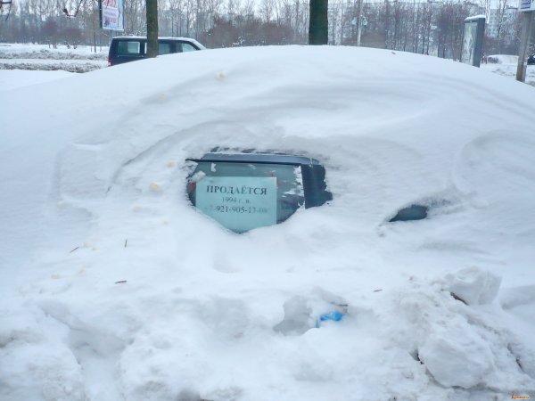 Зимний автоюмор