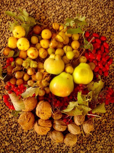 Осенние фрукты