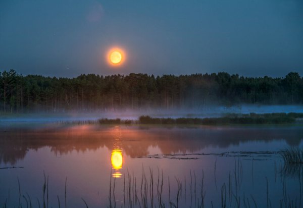 Летнее ночное озеро