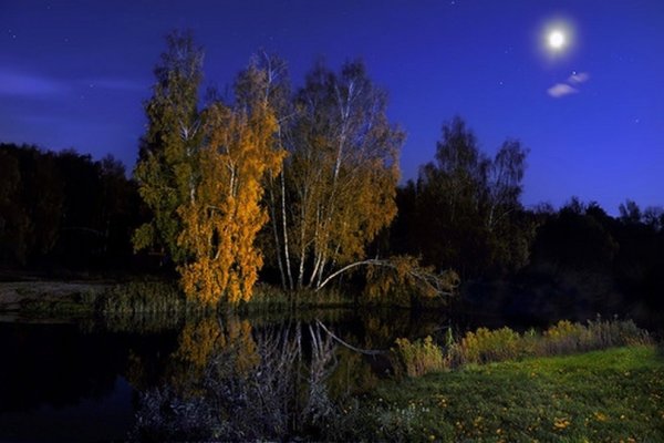 Лунная осень