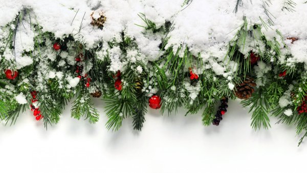 Новогодняя ветка