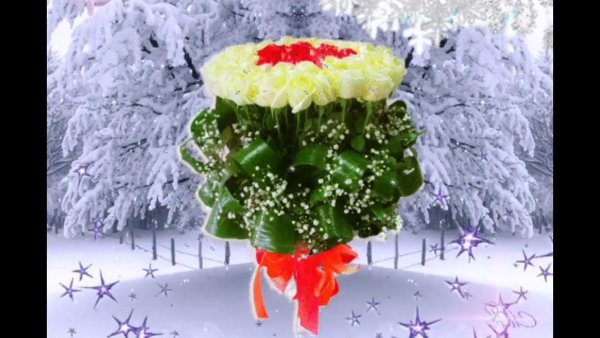 Цветы для зимнего настроения