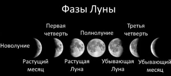 Все фазы Луны и их названия
