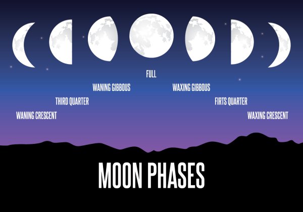 Moon phase иллюстрации