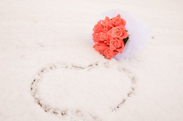 Роза с сердечками на снегу