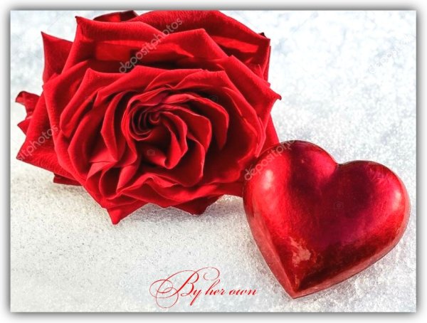 Роза с сердечками на снегу