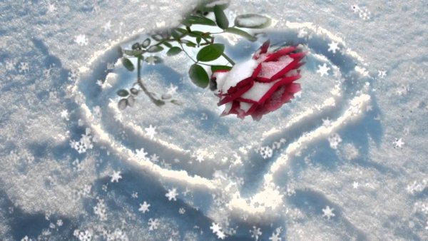 Солнце снег сердце