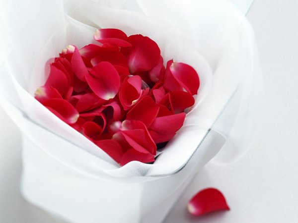 Нежные цветы с любовью