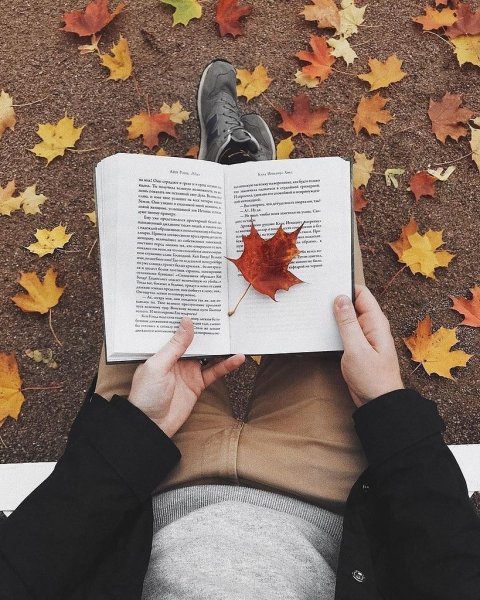 Осень хандра