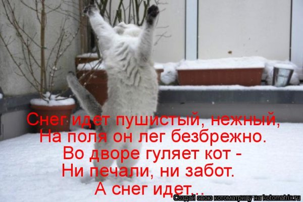 А снег идёт с надписями