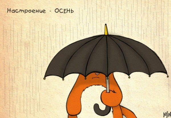 Настроение осень юмор