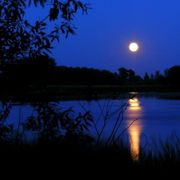 Летняя ночь