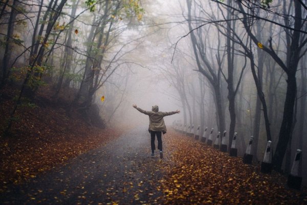 Одиночество осенью