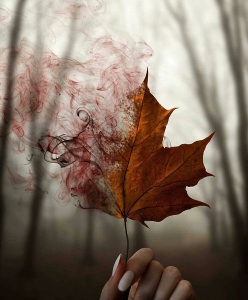 Осень грусть