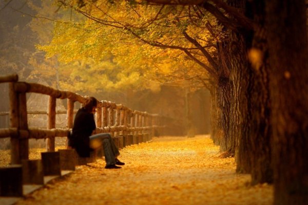 Осень одиночество