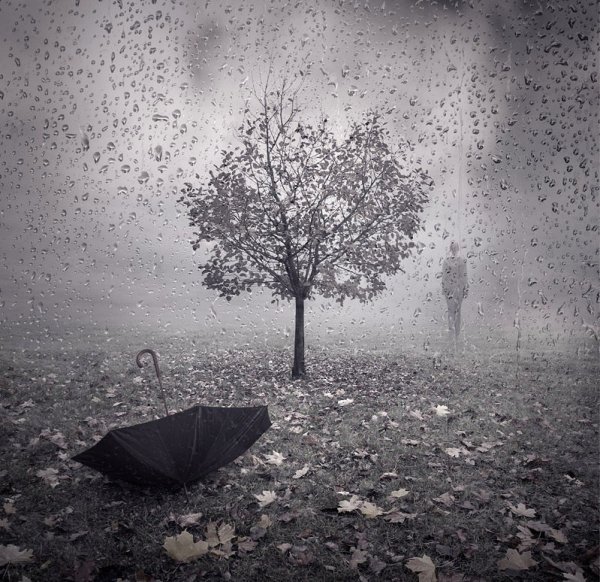 Серая осень