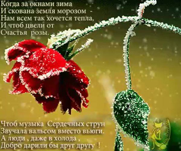 Зимние цветы с пожеланием