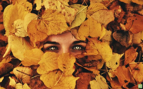 Лицо и листья