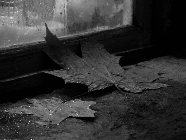 Холодная дождливая осень