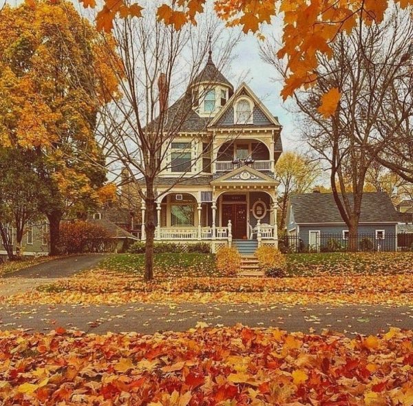 Осенний дом Потанина