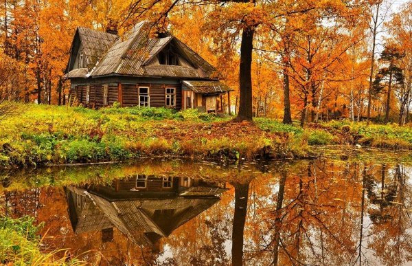 Осень дом