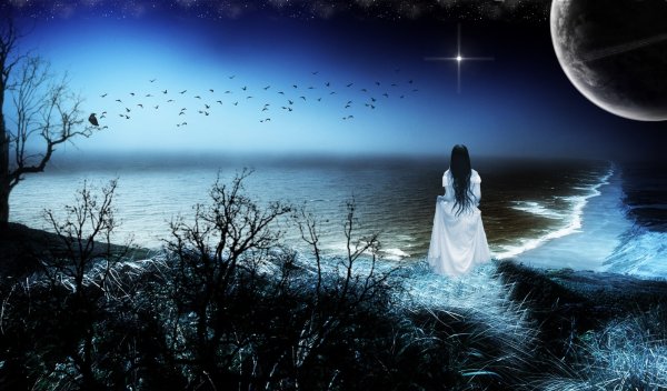 Лунная ночь девушка