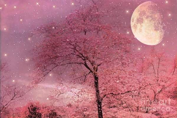 Луна и Сакура