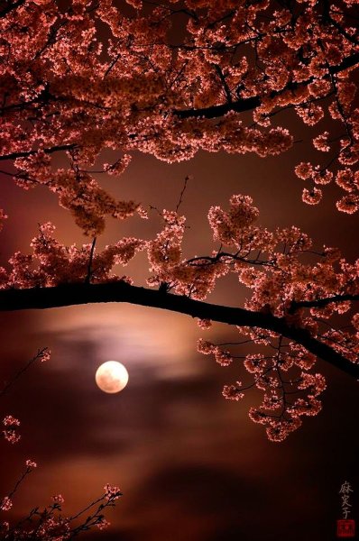 Пейзаж в коричневых тонах