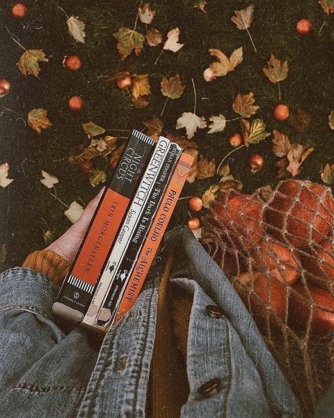Осень книги Эстетика