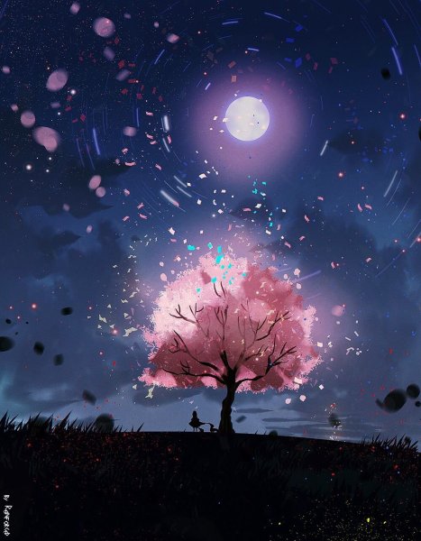 Сакура дерево ночью