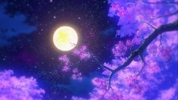 Сакура на фоне ночного неба