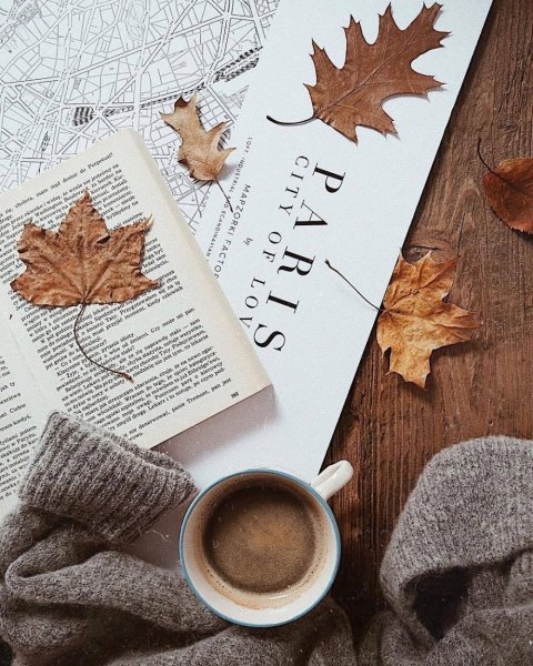 Осенняя раскладка с книгой