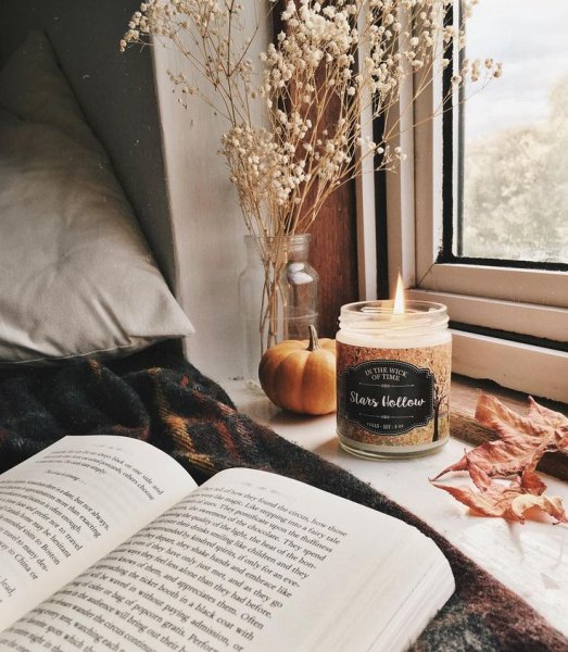Осенний уют Эстетика книги