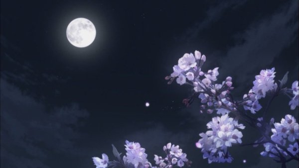Ночь Луна Сакура