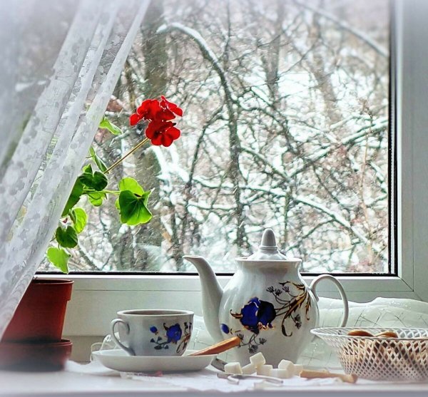 Чай на подоконнике