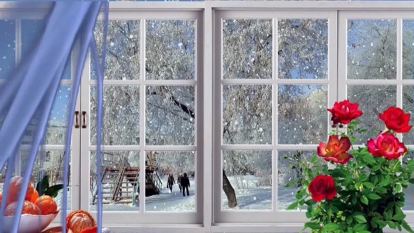 Зимний вид из окна