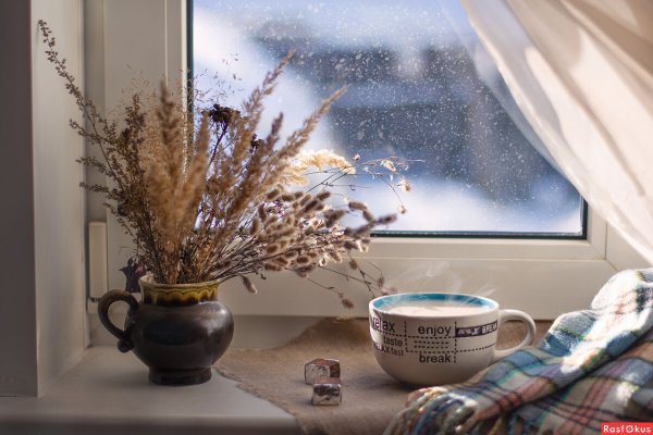 Туман за окном