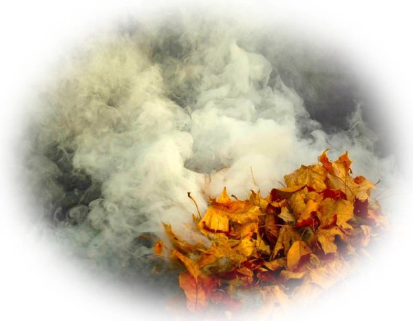 Костры осенние из листьев