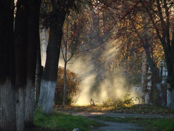 Осень дымка