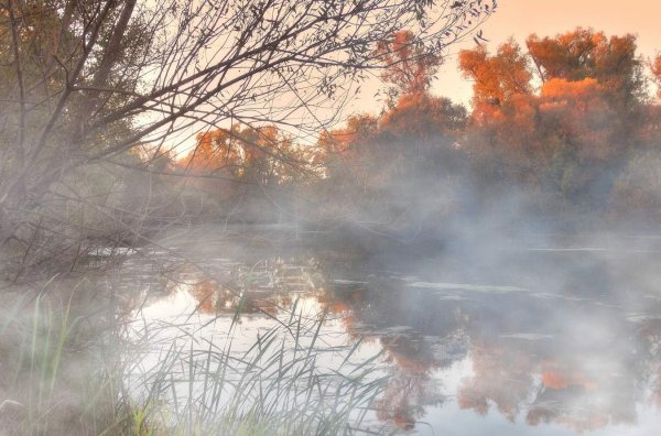 Осенний туман