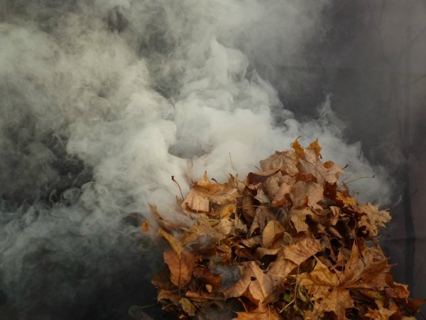 Осенний костер