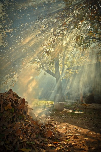 Осенняя дымка